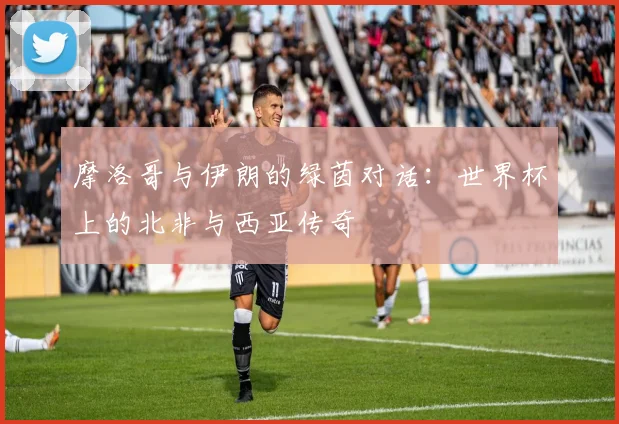 摩洛哥与伊朗的绿茵对话:世界杯上的北非与西亚传奇