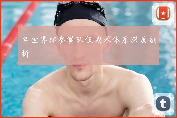 年世界杯参赛队伍战术体系深度剖析