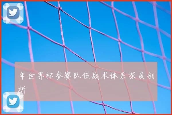 年世界杯参赛队伍战术体系深度剖析