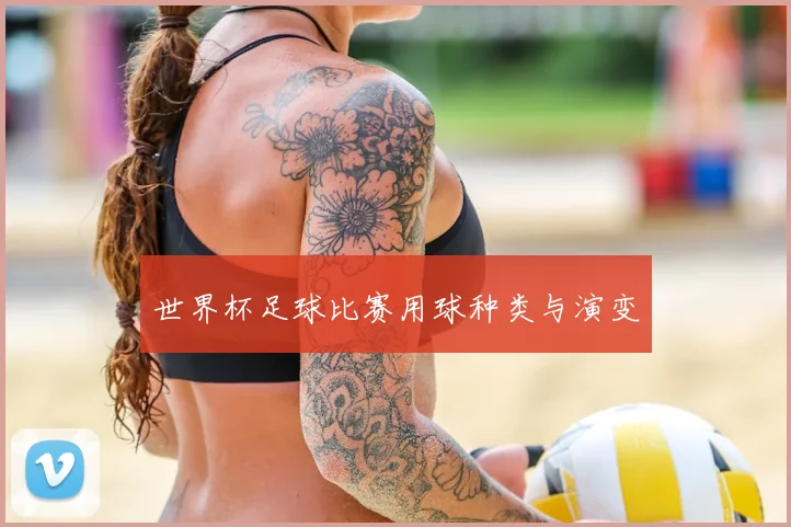 世界杯足球比赛用球种类与演变