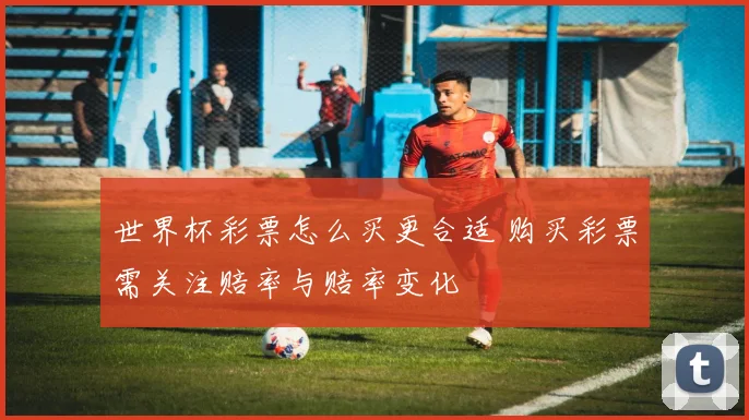 世界杯彩票怎么买更合适 购买彩票需关注赔率与赔率变化