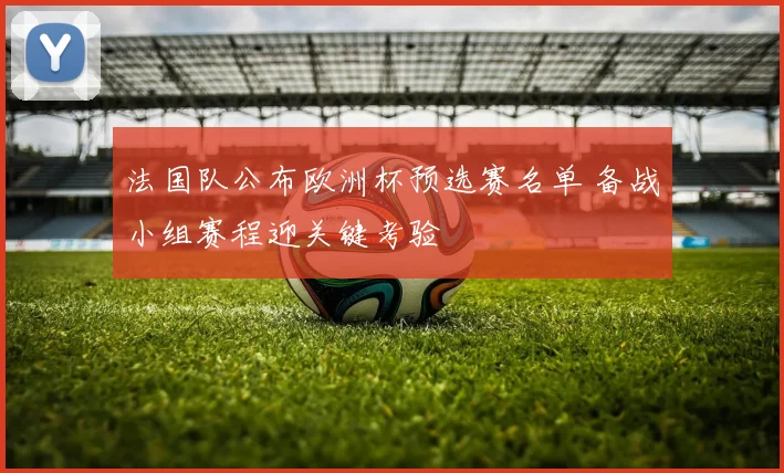 法国队公布欧洲杯预选赛名单 备战小组赛程迎关键考验
