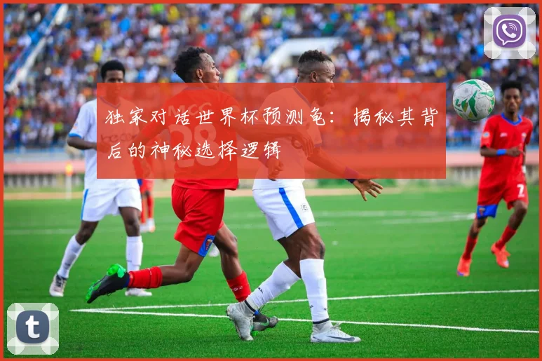 独家对话世界杯预测龟：揭秘其背后的神秘选择逻辑