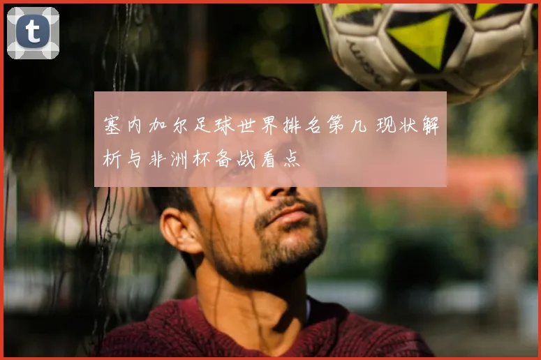 塞内加尔足球世界排名第几 现状解析与非洲杯备战看点